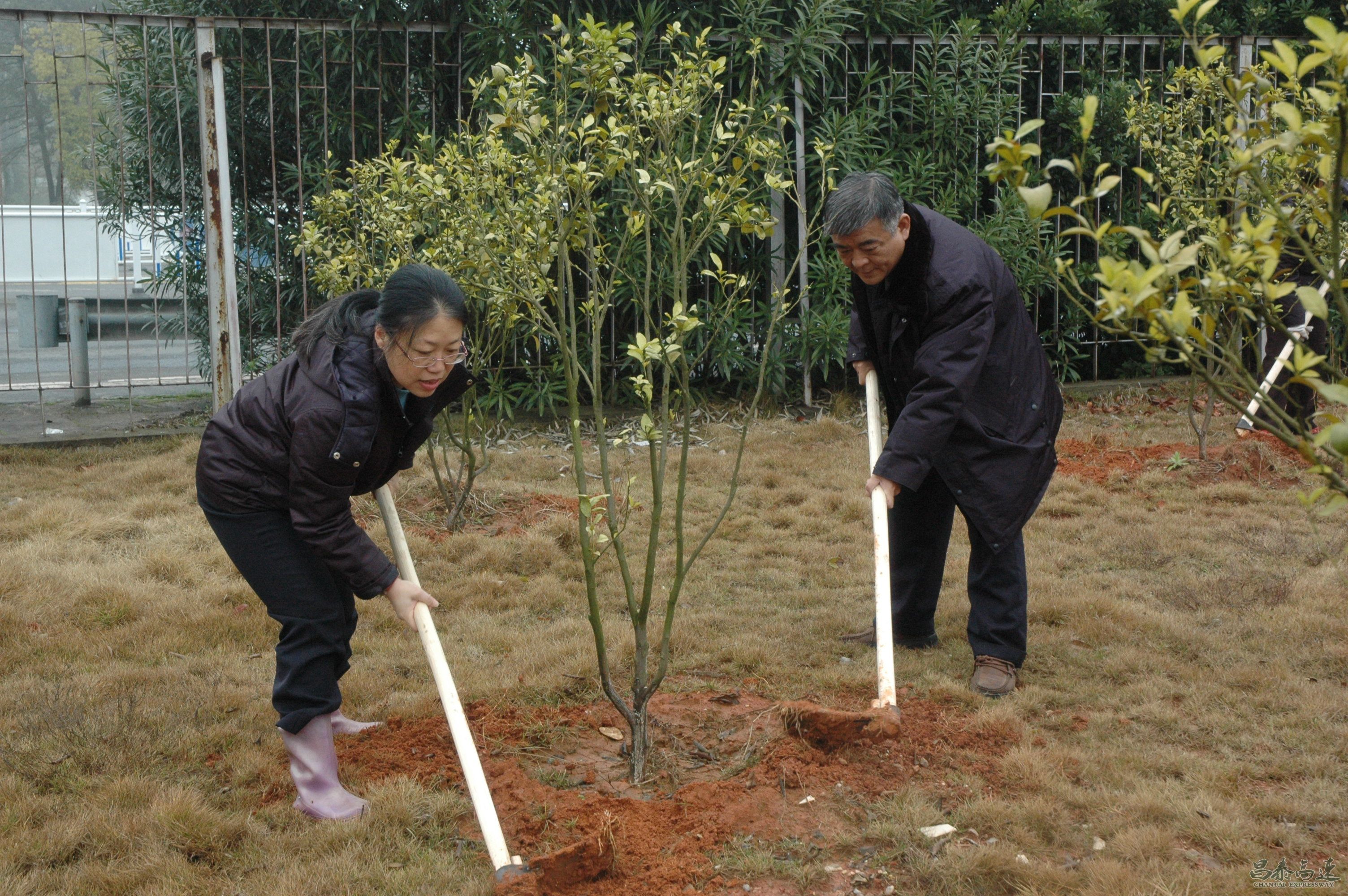 同呼吸共命运 植树护绿公益行