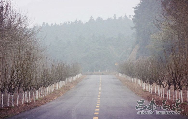 南安所廖小菊：百丈峰看樱花